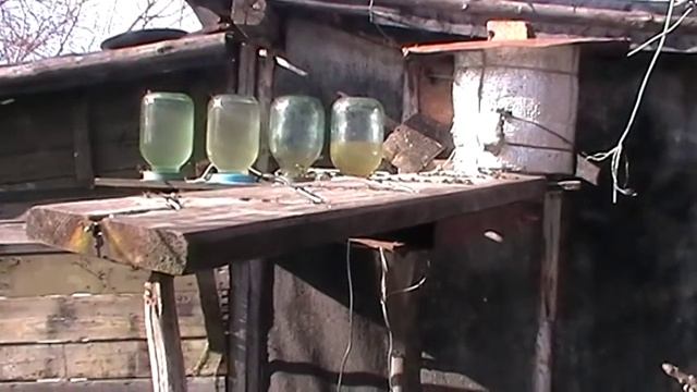Поилка для пчёл