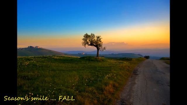 SAVE THE BEST FOR LAST -  VANESSA WILLIAMS