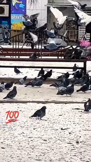 Молчи☝