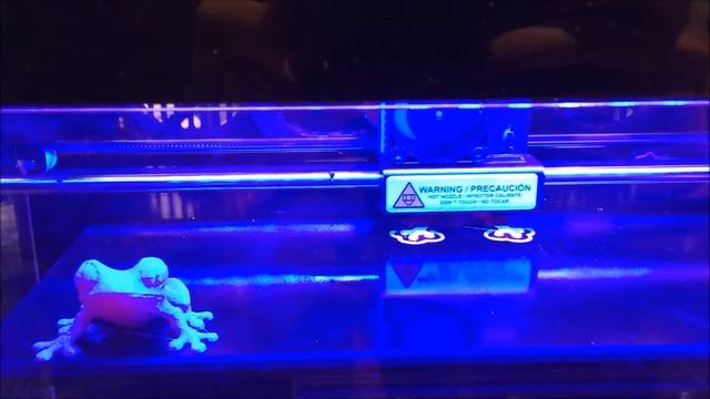 3D-печать жабки.