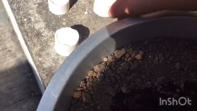 Experimento “La mamba negra”🐍  ¿Porque sucede?