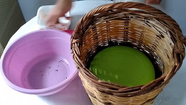 Zeytin | Sepette sele zeytin yapımı | laforizma