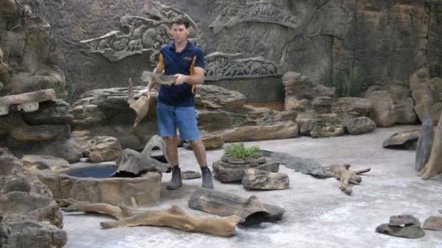 Adding Floating Products to Enhance Your Private Pond