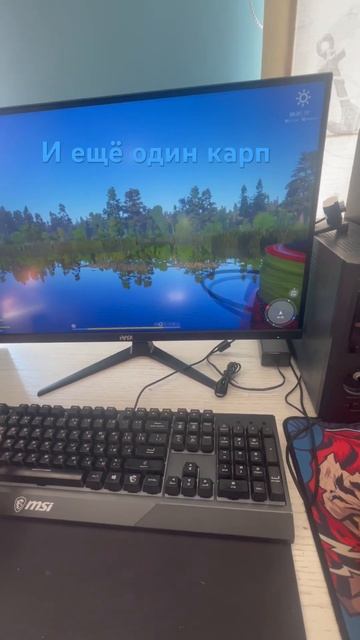 Ещё один карп