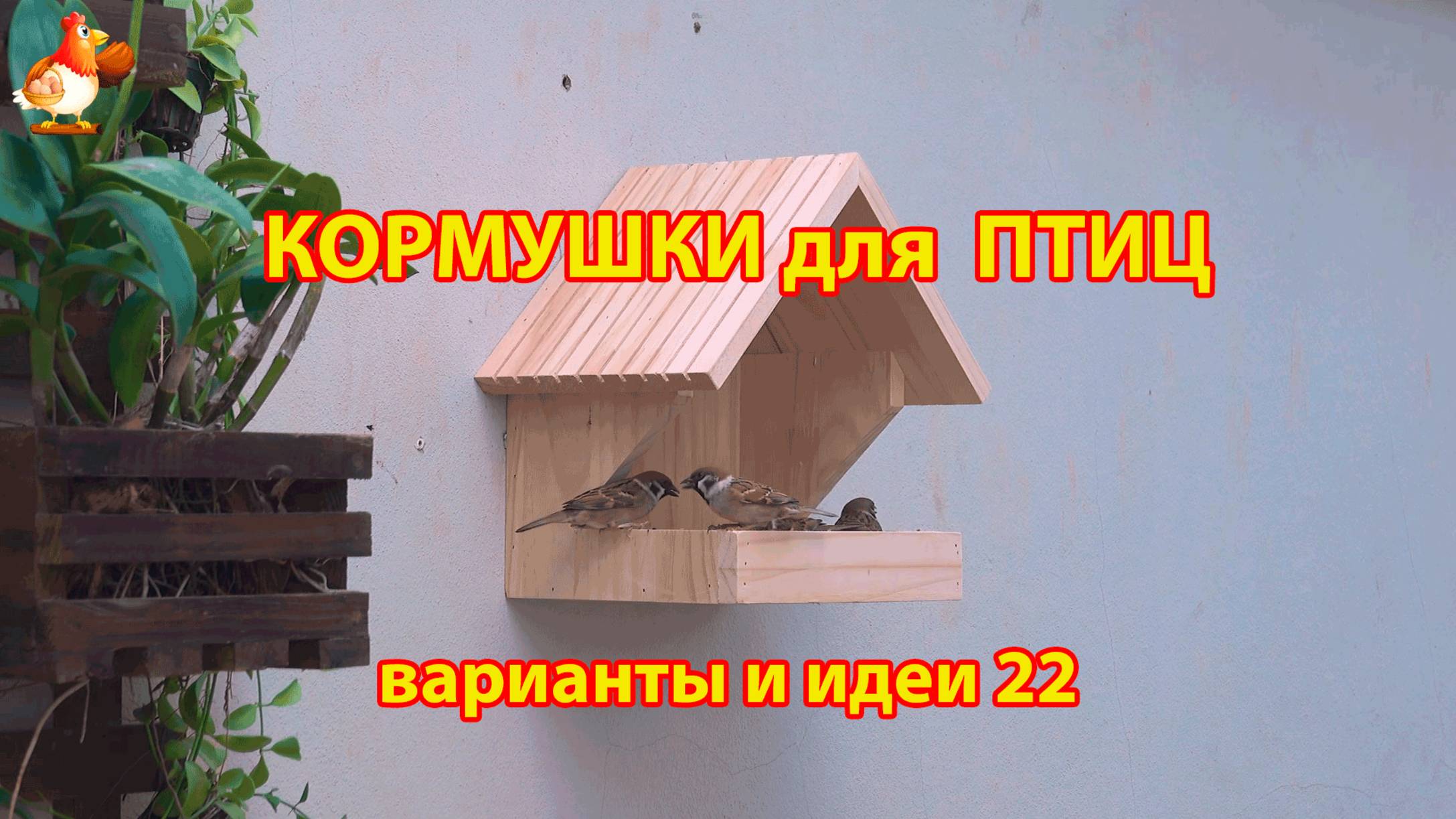 Кормушка для птиц своими руками как сделать пошагово  (22) 🪚🪛🔨 Идеи для дачи и сада❣️