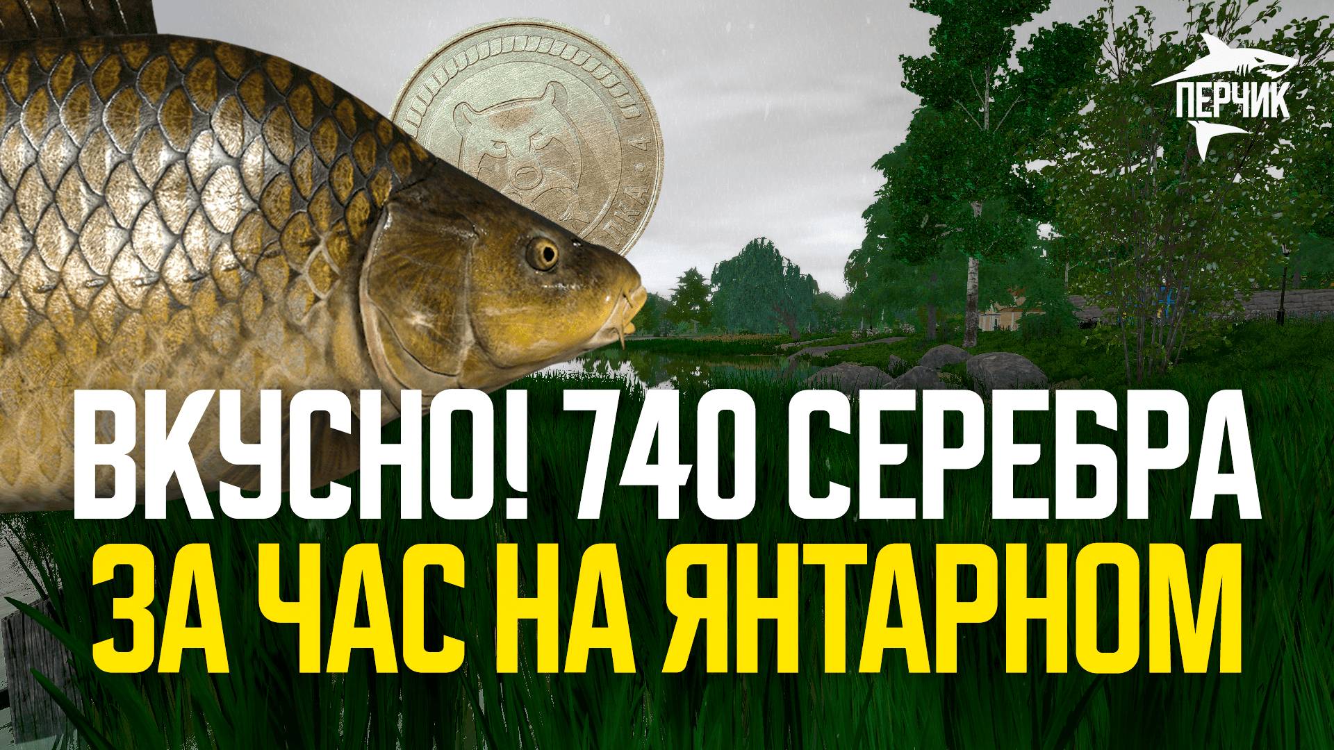 Приятный фарм на Янтарном (740 серебра за час) ● Русская рыбалка 4 ● Перчик РР4
