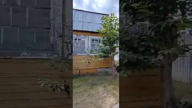 Владимирская область , Петушинский район, дер. Новинки