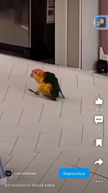 днснзснщсжнсщгпнщм