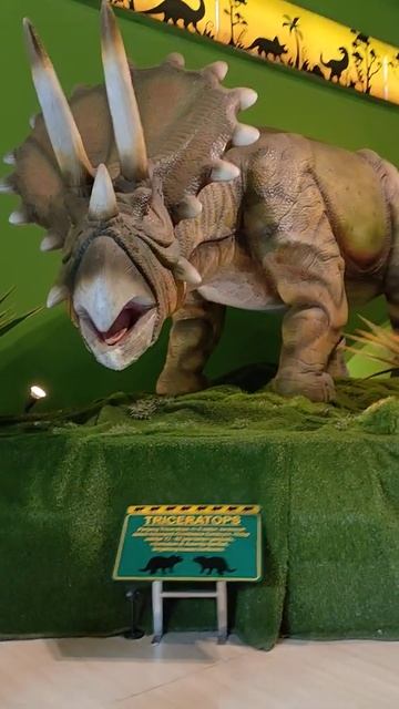 Dinosaurus Triceratops Jenis Dinosaurus Bertanduk berapa? #Shorts