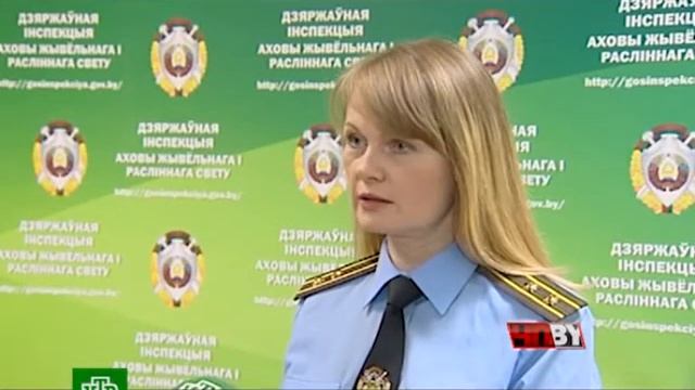 ЧП.BY 11.12.2017