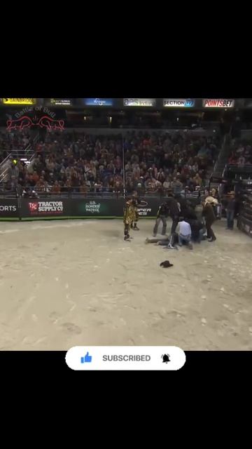 Gnarliest wrecks of the 2023 season