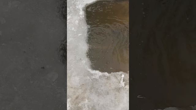 Аэрация пруда зимний период весна,лето,осень.