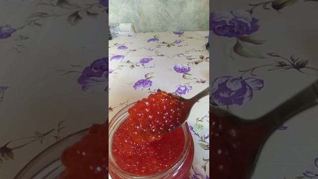 Икра красная л имитированная. Балтийский берег. 16.07.24.