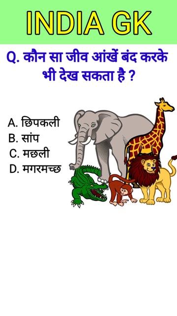 world animals GK quze Question answers general knowledge video short GK quze video ||