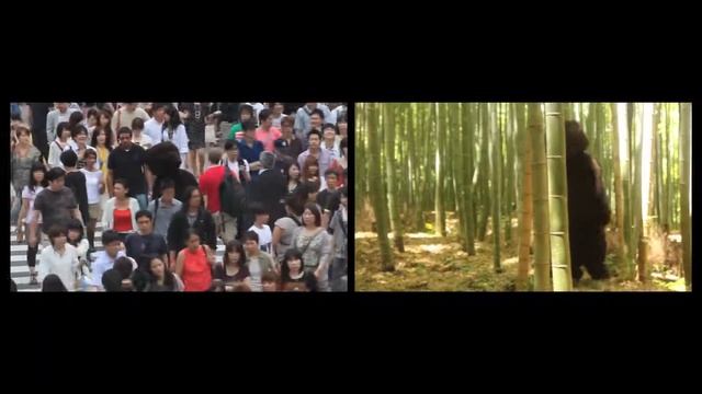 Denise Silver | Kuma Shibuya Crossing and the Bamboo Forest, Tokyo and Kyoto, Japan