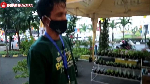 PAMERAN TANAMAN HIAS DAN BUAH-BUAHAN TERBERSAR DI KARAWANG | KARAWANG BERBUNGA & BERBUAH