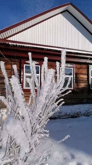 Зима