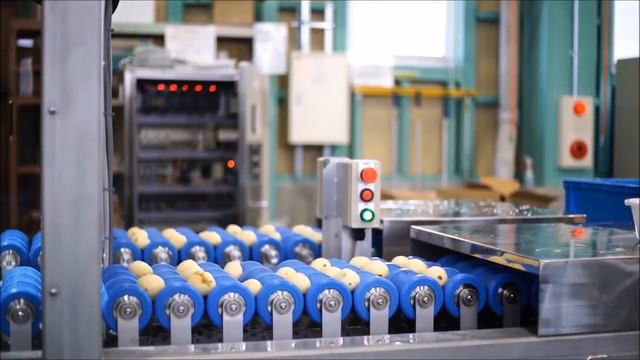 DENSO's high speed SCARA robot HSR Series in a potatoes trimming application