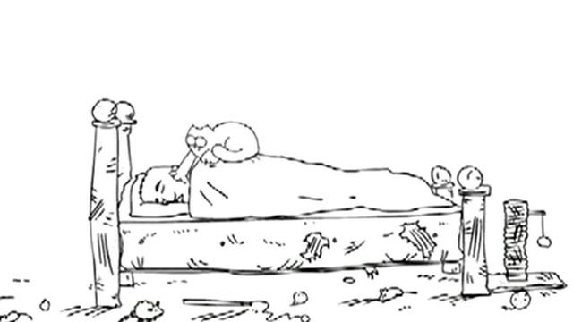 Кот Саймон 1 серия.