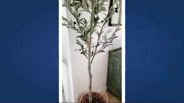 Decor Steals' 82 Inch Tall Potted Olive Tree