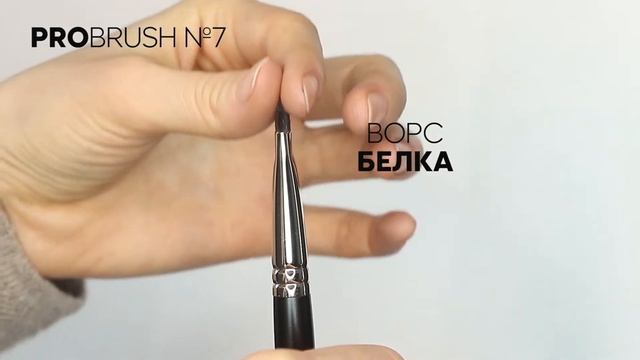 PROBRUSH by SINART #7