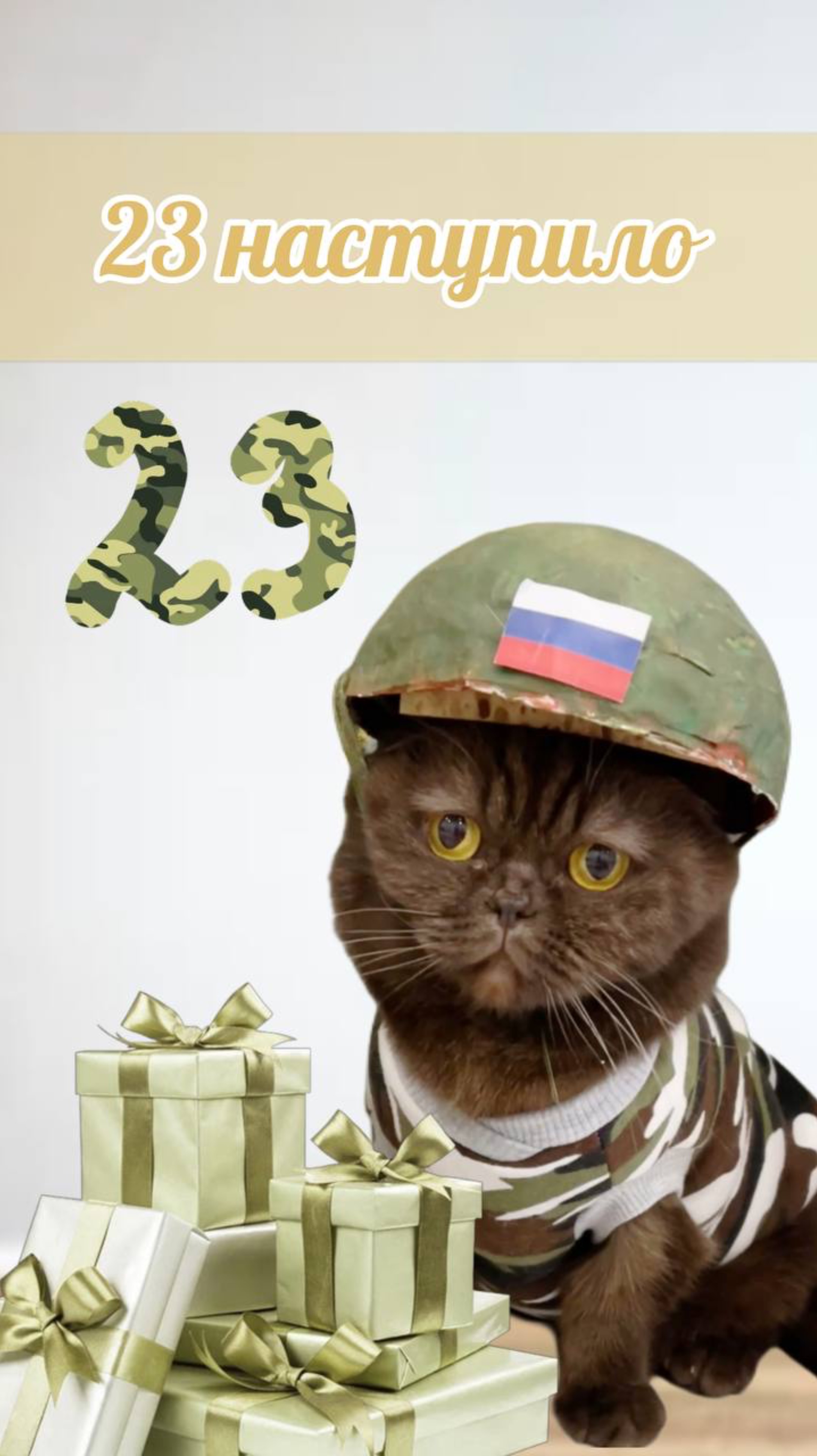 Лучший подарок на 23 февраля #деньзащитникаотечества