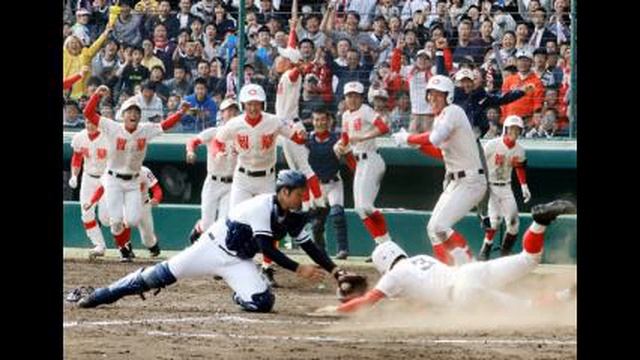 センバツ準Ｖ高松商、四国大会出場逃す