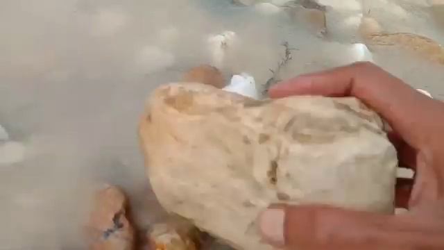 Ketika Batu Fosil Kayu Mengapur, Jangan di Buang. Itulah Batu Akik Sebenarnya.