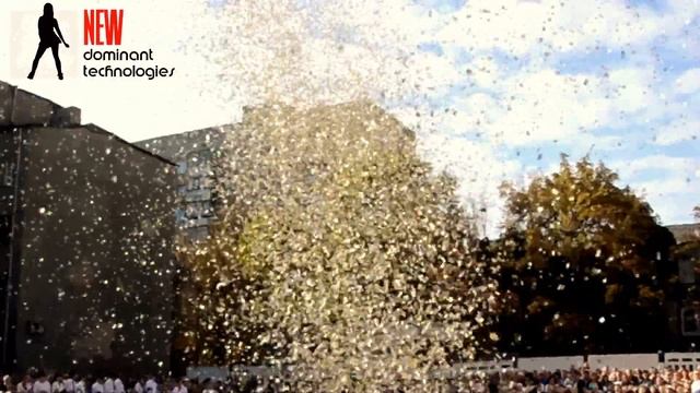 Конфетти шоу. Школы. Концерты. Соревнования.