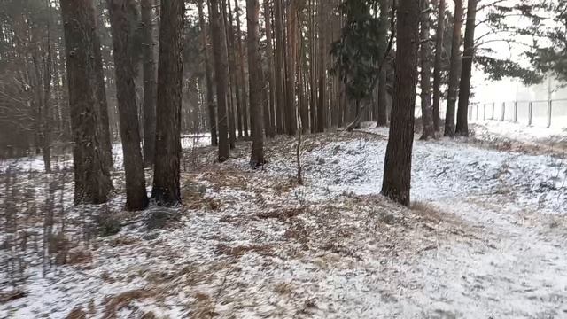 Прогулочка на первом дне