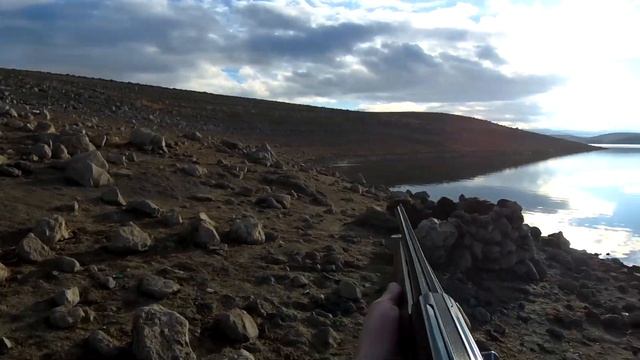2022/ 2023 ÖRDEK AVI YEŞİLLER ÖLÜMÜNE GELDİ!!! (CAMURCUN AVI) DUCK HUNTING УТИНАЯ ОХОТА