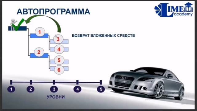 9 ПРОГРАММ ЛАЙМ АКАДЕМИИ
