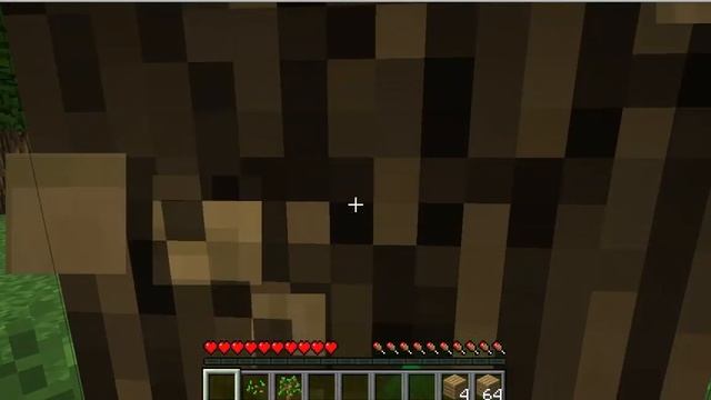 Hunt for the Nether Quartz