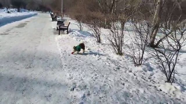 Ух ты мячик даже есть город центр 2025 февраль