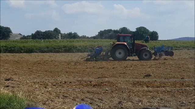 Raps säen 2015 mit Case CVX 130 und Lemken Saphir 7