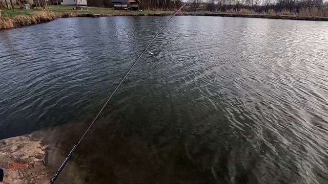 Konger Streeto Air Trout XUL 1982