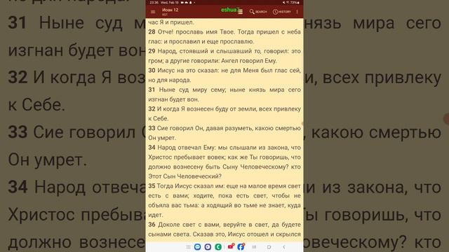 Иоанн 12 гл.   Христос = Свет= Сын Человеческий