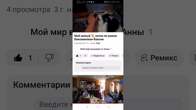 Мой милый кот Бакс запись архива 2020 лето #животные #кот