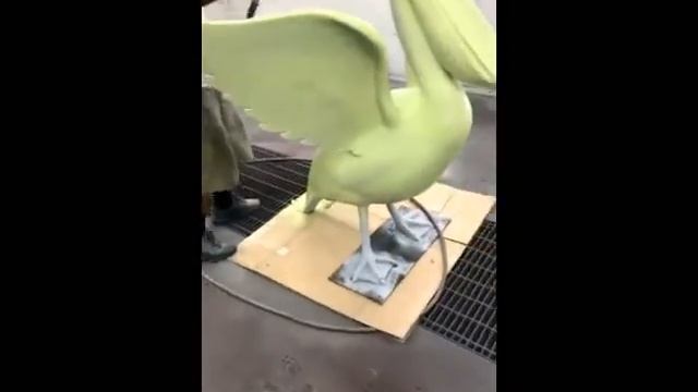 Pensacola tax collector Pelican