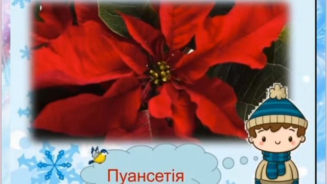 Життя рослин взимку. @ Дитина у світі природи,  аплікація. Старший дошкільний вік.