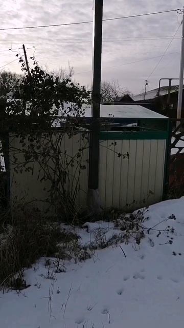 Беспредел Администрации города Семилуки Воронежской области
