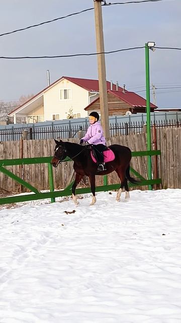 Соня и Флейта, рысь на плацу. #horse #equestrian #лошади #pony