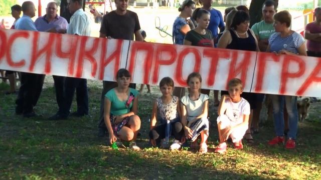Осички проти кар'єра