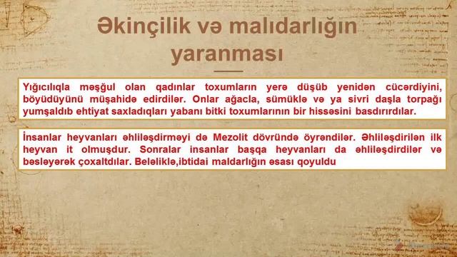 Mezolit dövrü