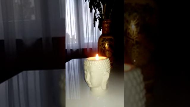 Трамвайчик катится