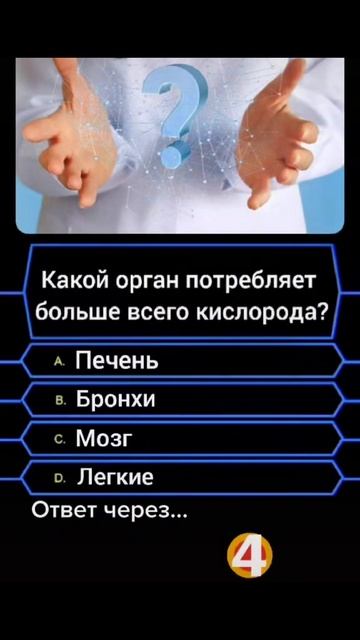 ВИКТОРИНА #Рекомендации #ЛучшаяМимикасИИ #покапибаримся #УютныеРецепты #формулалюбви