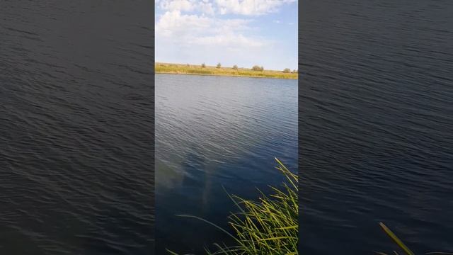 22 июня 2024 г.