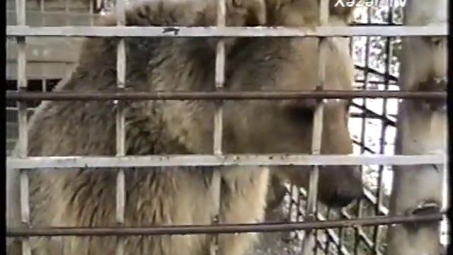 Khazar University tv archive 5