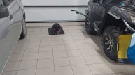 Бакс. Пройден третий уровень команды лежать-5 минут (выдержка).