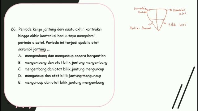 Pendalaman Materi Biologi Part 3 (persiapan ujian, olimpiade dan UTBK!!!)